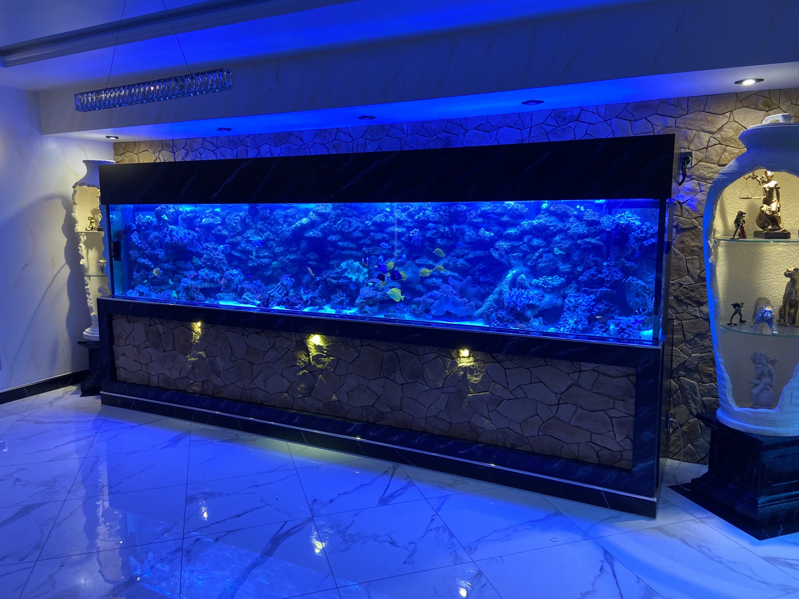 Premium Aquarium Berlin Aquarienbau
