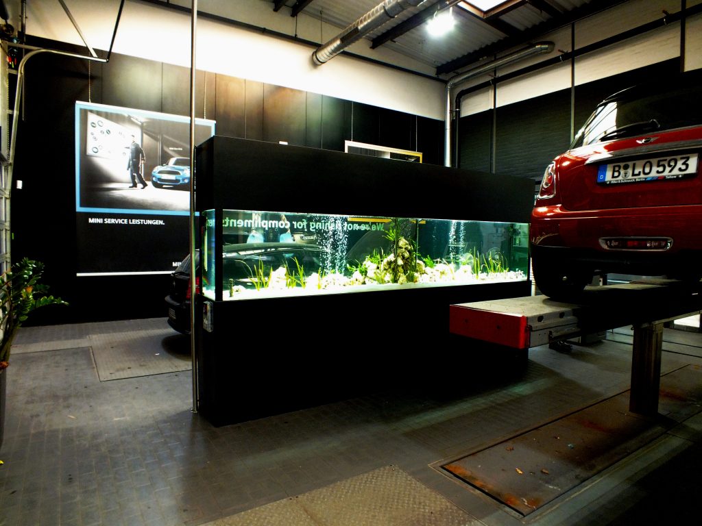 Aqua Scaping, aquascaping, Aquarium Wartung, Aquariumdesign, Aquarienpflege, Aquarium