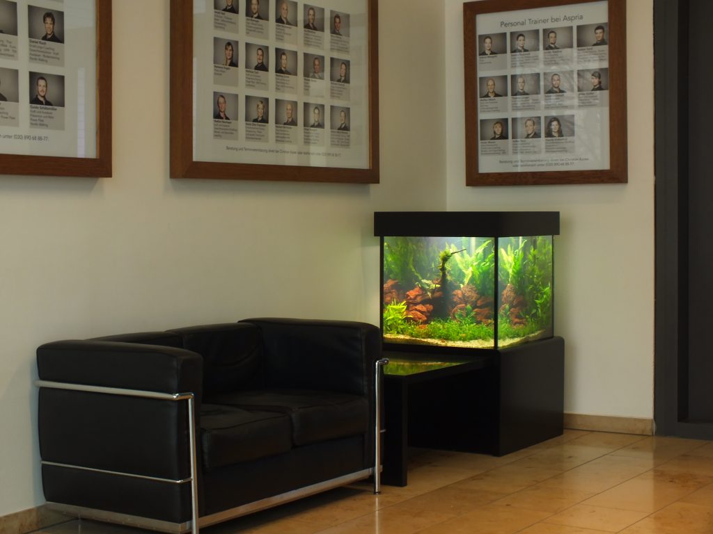 Premiumaquarium Aqua Scaping, aquascaping, Aquarium Wartung, Aquariumdesign, Aquarienpflege, Aquarium