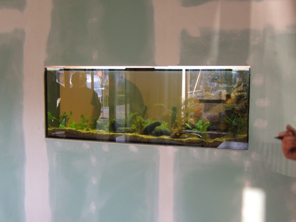 Aquarienpflegedienst Aquarienservice Aquarienvermietung Aquarium-Pflegedienst Komplettservice Berlin Pflegedienst Aquarium Service Aquarium Vermietung Aquariumpflege Aquarienpflege Projektsteuerung