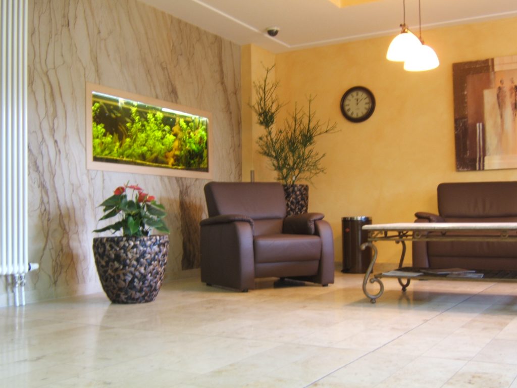 Aquarienpflegedienst Aquarienservice Aquarienvermietung Aquarium-Pflegedienst Komplettservice Berlin Pflegedienst Aquarium Service Aquarium Vermietung Aquariumpflege Aquarienpflege Raumteiler Premium Aqaurium mit Pflegeservice