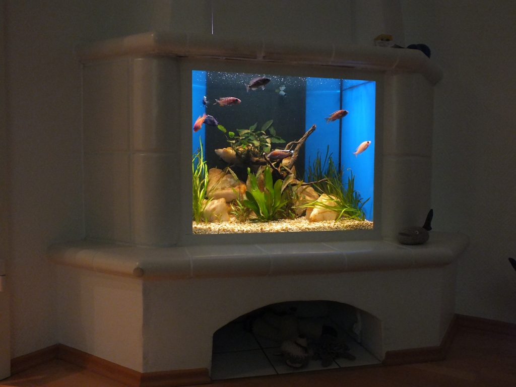 Aquarienanfertigung Premiun Aquarium, Aquarienbau, Aquarienpflege, Aqaurienvermietung, Aquarienpflege