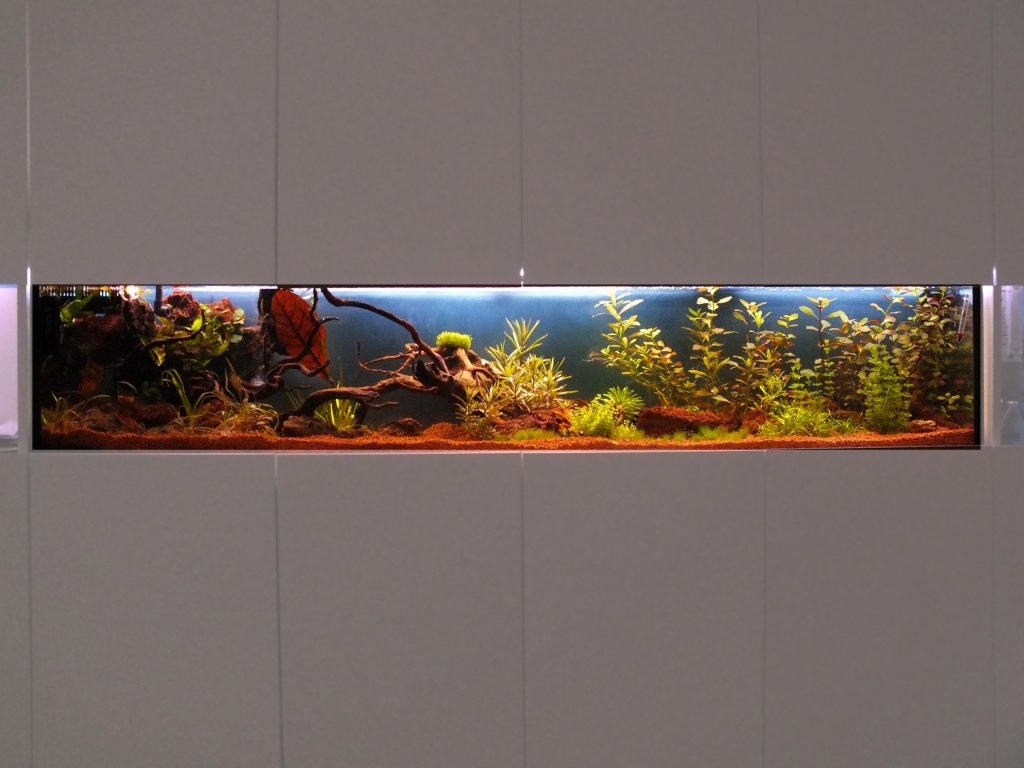 Aquariummöbel Aqua Scaping, aquascaping, Aquarium Wartung, Aquariumdesign, Aquarienpflege, Aquarium