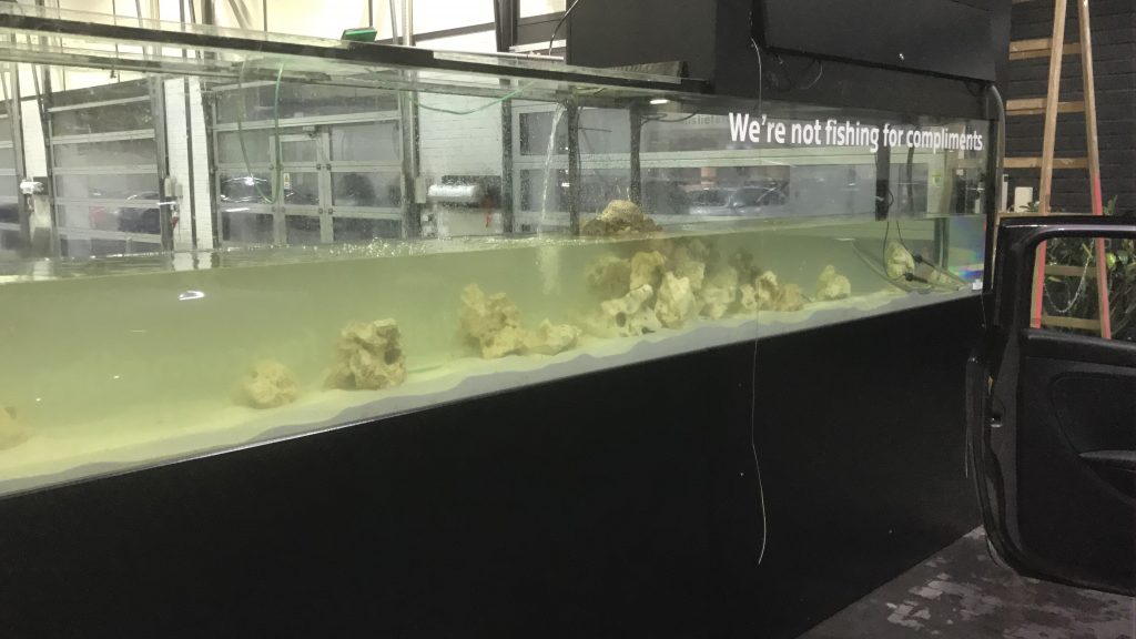 Aquascaping, Premiumaquarium, Designaquarium, Aquariumwartung, Aquariumpflege