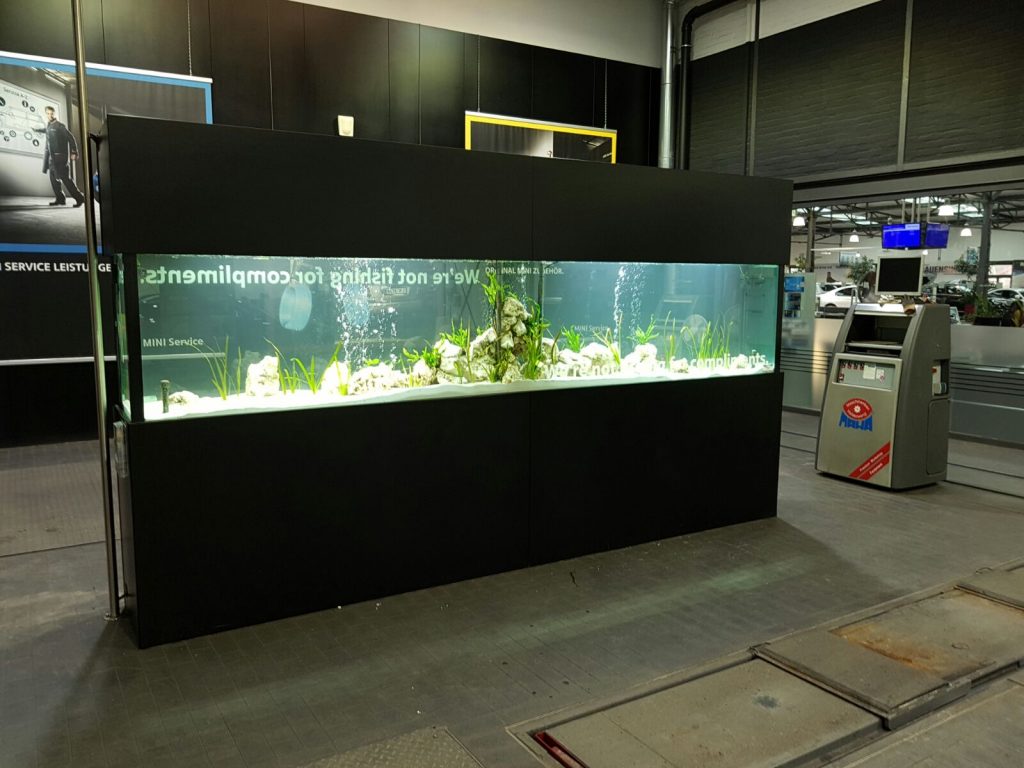 Aquascaping, Premiumaquarium, Designaquarium, Aquariumwartung, Aquariumpflege