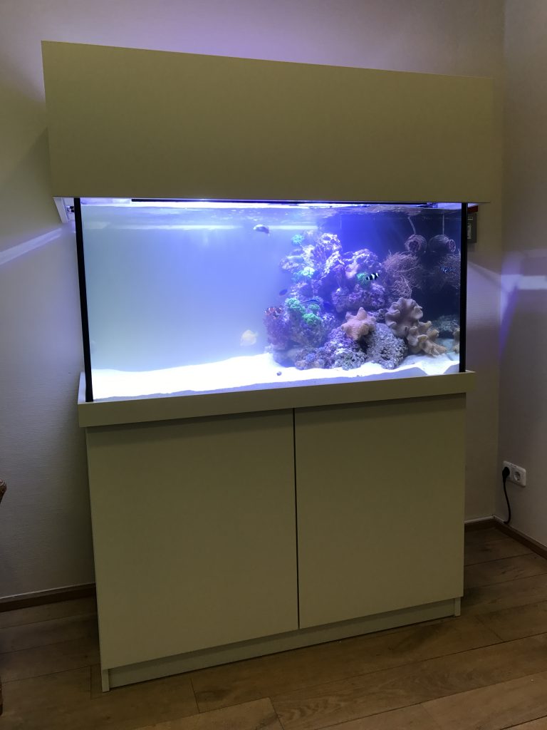 Premiumaquarium Meerwasseraquarien Aquariumwartung Aquarienwartung