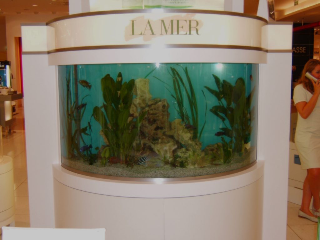 Verkaufsförderung Premium Aquaristik, Design Aquarium, Aquariumpflege, Aquariumwartung