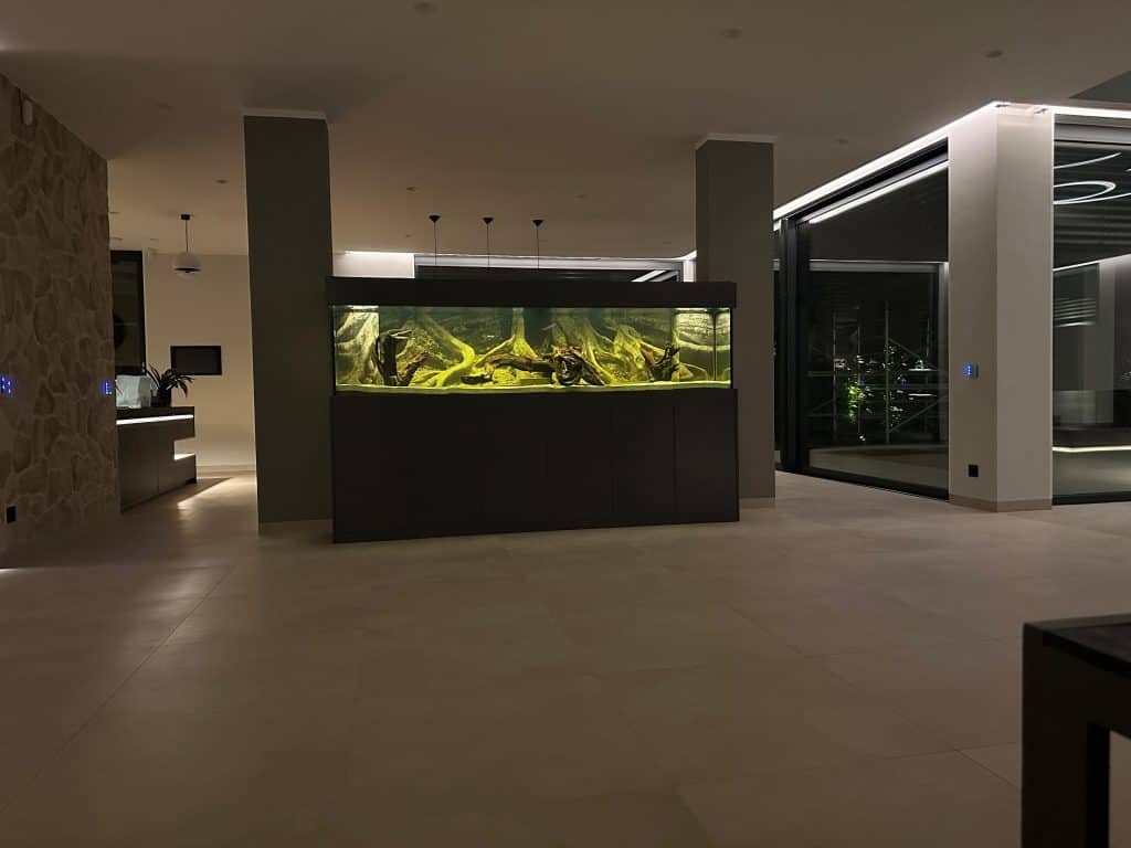 Süßwasser Aquarium