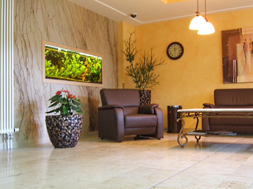 Aquarienbau Raumteiler Aquarium, Design Aquarium, Aquariumpflege, Aquarienpflege
