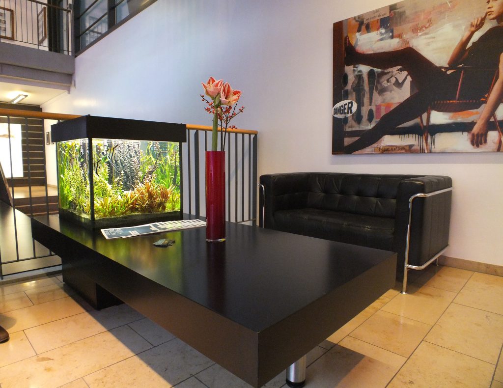 Aquarienbau Design Aquarium, Aquarium, Aquarienpflege, Aquarienprofis, Aquariumwartung