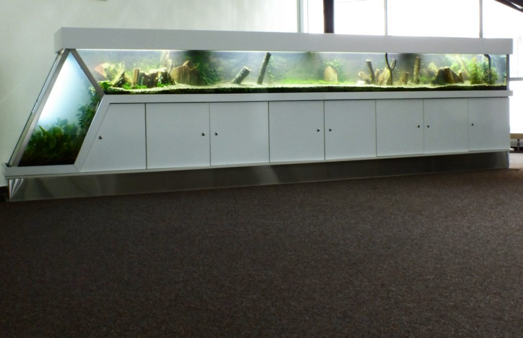 Aquascaping, Premiumaquarium, Designaquarium, Aquariumwartung, Aquariumpflege Aquascaping, Premiumaquarium, Designaquarium, Aquariumwartung, Aquariumpflege