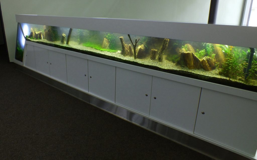 Aquascaping, Premiumaquarium, Designaquarium, Aquariumwartung, Aquariumpflege Aquascaping, Premiumaquarium, Designaquarium, Aquariumwartung, Aquariumpflege
