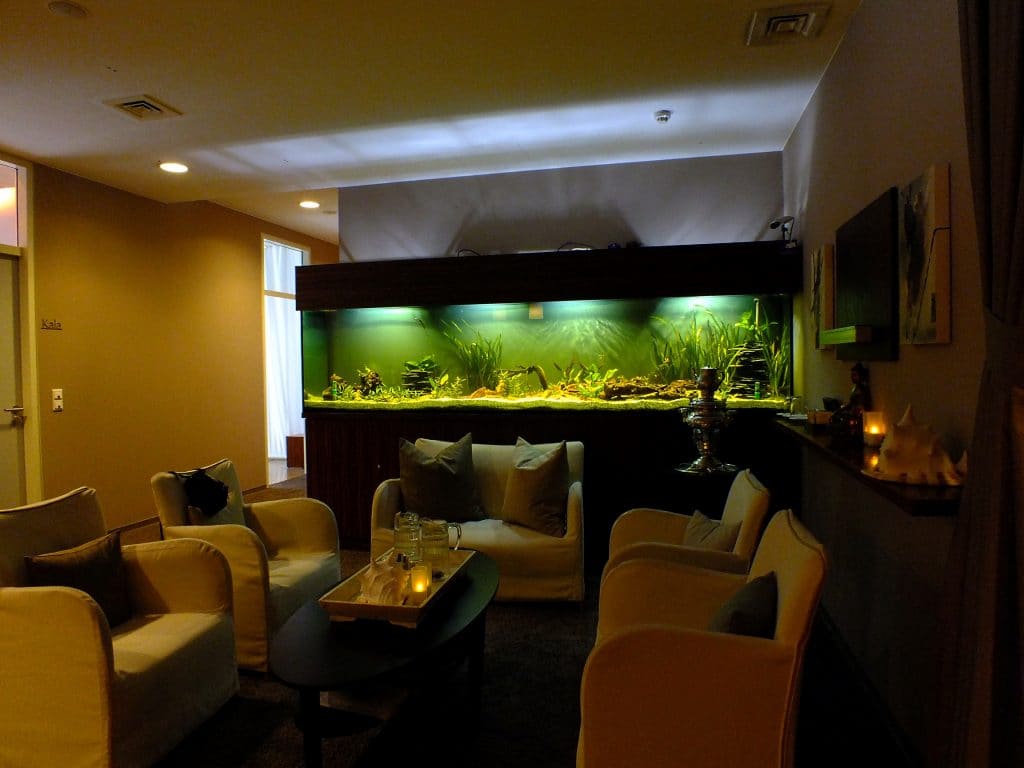 Aquarienbau Aquariumpflege Aquarienanlagenbau, Aquarienbau, Aquarienpflege, Aquarienwartung, Aquariumdesign