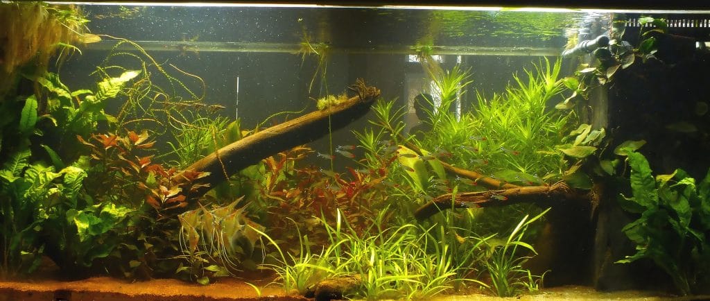 Meerwasseraquarium Meerwasseraquarium, Aquascaping vom Profi, Aquarienpflege, Aquarienwartung, Aquarienservice