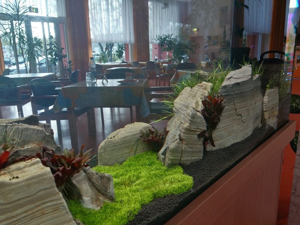 Aquarienpflege, Aquarienwartung, Aquascaping, Aquaristik Service, Aquarien Service, Aquarienbau