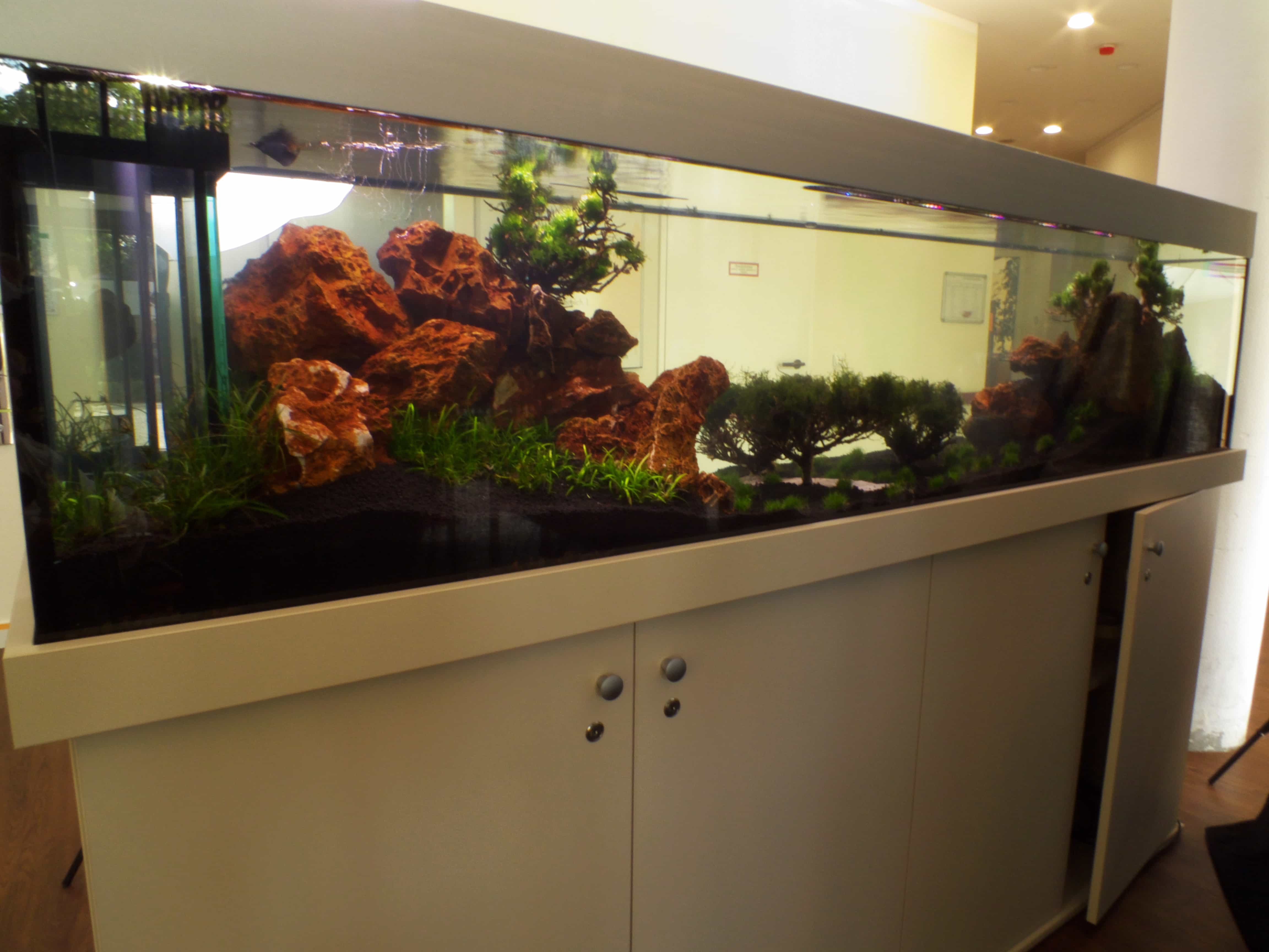 Aquariumbau Berlin