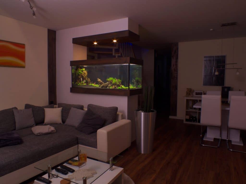 Aquarienkonzepte Aquariumbau