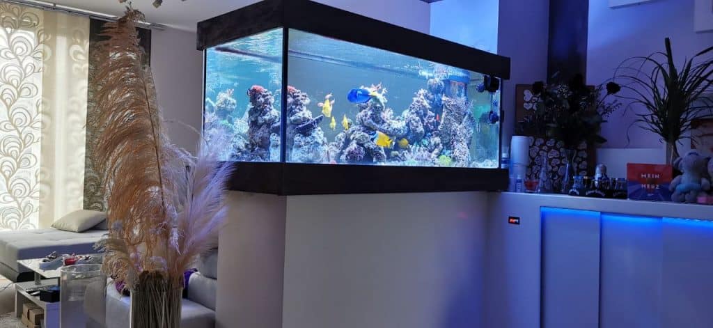 Reeftank