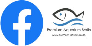 Premium Aquarium
