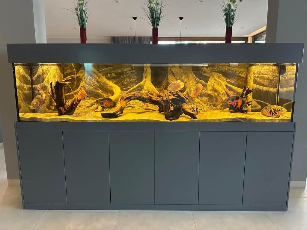 Aquarium im Betrieb